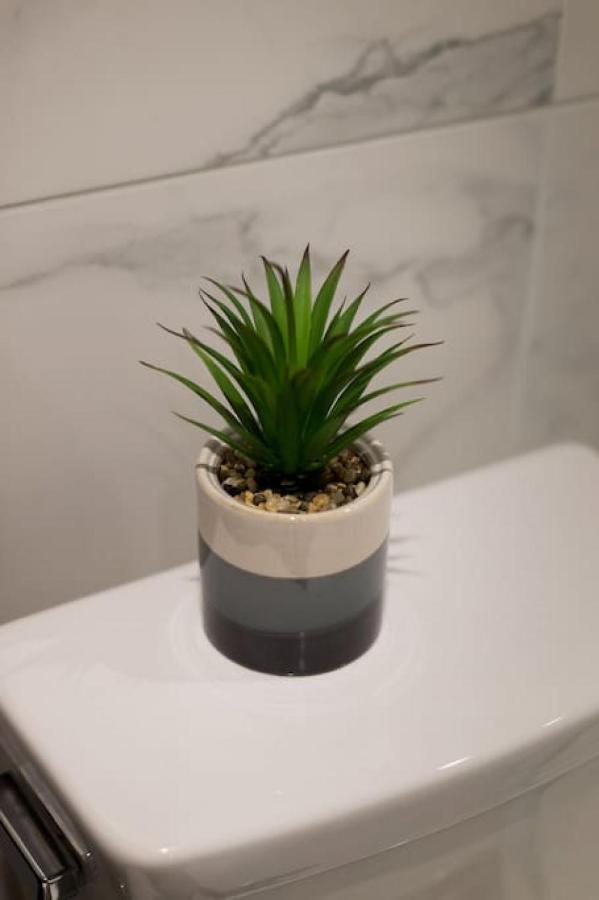 Palms Little Italy Studio With Full Bathroom By Denstays Montreal Bagian luar foto